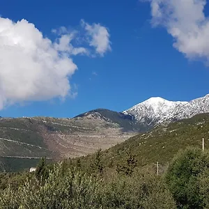 https://filoxenia-residence.albaniahotels.org